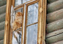 Blick / ***