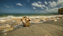 broken shell / broken shell