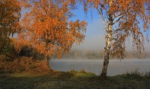 Herbstmorgen / ***