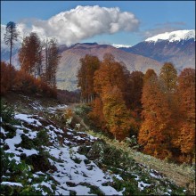 Herbst auf der "Krasnaja Poljana" / ***