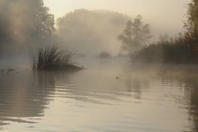 Oblaskanye Nebel. / ***