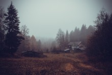 Nebel im Oktober ... / ***