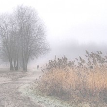 Der Nebel / ***