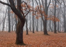 Oktober / ***