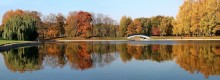 Herbst in Moskau / ***