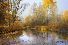 Abschied von der goldenen Herbst. / ***
