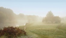 Morgen auf dem Fluss / ***