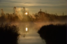 Misty Dawn / ***