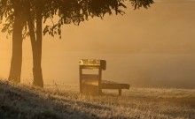 Herbst-Skizzen / ***
