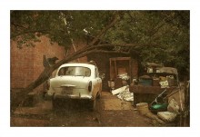 Texas / ***