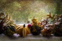 The october / ***