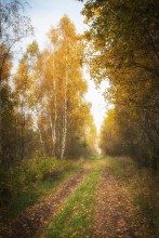 Herbst-Straße / --------