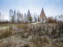 Ersten Frost. / ***