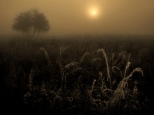 Erwachen ... 5 .. / ***