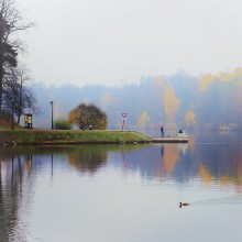 Foggy fall / ***