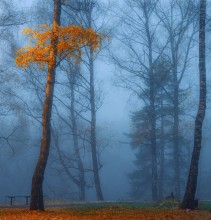"Im vergangenen Herbst Farbe ...." / ***