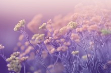 "Mood Indigo" / "Mood Indigo" / ***