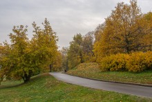 Dieser Fall / ***