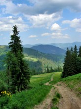 Carpathian gegeben / ***