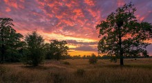 Panorama / ***