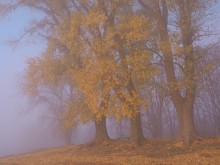 etwa HERBST / ----------