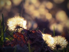 Oktober / ***