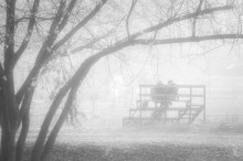 Zwei / ***