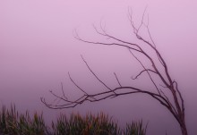 "Calm Herbst" / 06.10.14
