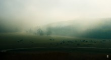 ... Über dem Nebel / ***