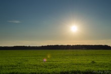 Vor Sonnenuntergang / ***