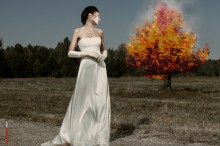 Besyskhodnost / ...
