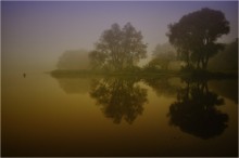 Im Nebel der Morgendämmerung / ***
