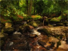 ... In der geheimnisvollen Wald III ... / ***