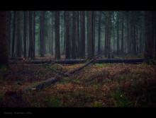 Verspätete Herbst. / ***