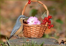 Und das gebracht hat? / ***