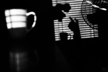 Tasse Kafka. Teil III / ***