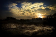 Im Licht der Morgendämmerung ... 5. / ***