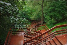 Kolomenskoje, regen / ***