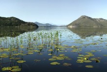 Skadarsee / ***
