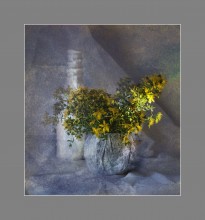 impressionism / ***