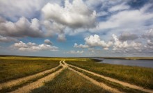 Way in der Wildnis / ***
