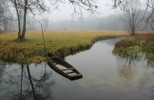 Wiese / ***