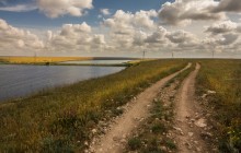 Die Straße im Sommer / ***