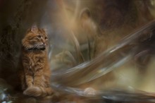 Mission Impossible ... / ***