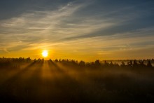 Sonnenaufgang im Nebel / ***