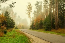 drehen im Nebel / ***