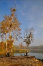 Alter Steinbruch 2 / ***