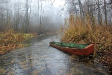 In dem Bayou / ***
