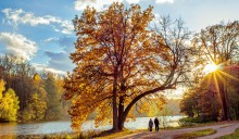 In Erinnerung an die Herbst / ***