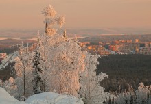 Winterabend / ***